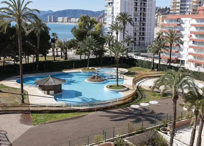Florazar 2, Vi-5-b Кульера